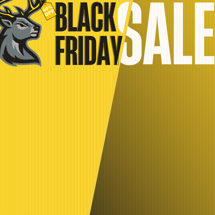 Black Friday Sale