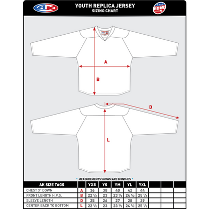 Youth - ECHL Replica Jersey (Black with Official logo)