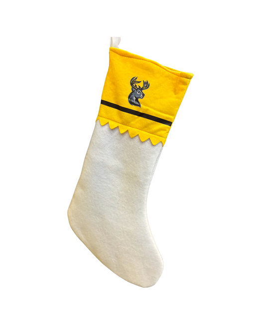 Holiday Stocking